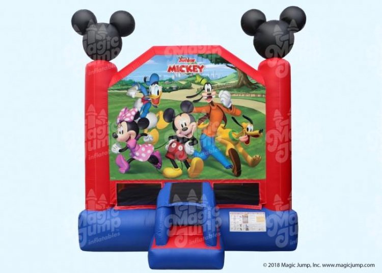 Disney Mickey Mouse & Friends Bouncer