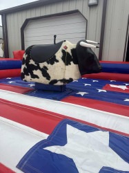 449527955 998876958912630 5593465546034882915 n 1720373570 Patriotic Mechanical Bull